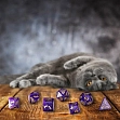 Мініатюра товару Набір кубиків Cats Dice Set Purrito - 2