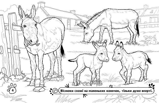 Розмальовка Тварини на фермі, бренду Ранок - 2 - KUBIX