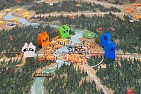 Миниатюра товара Настольная игра Root - 12