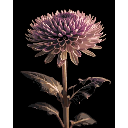 Картина по номерам Георгин (40х50 см), бренду Strateg - KUBIX