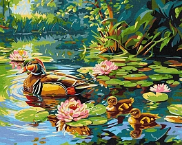 Картина по номерам Семья уток (40х50 см)