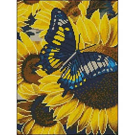 Алмазная мозаика Бабочка (30х40 см)