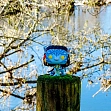 Мініатюра товару Ігрова фігурка FUNKO POP! НЕЙТІРІ (Neytiri) Avatar #1322 - 3