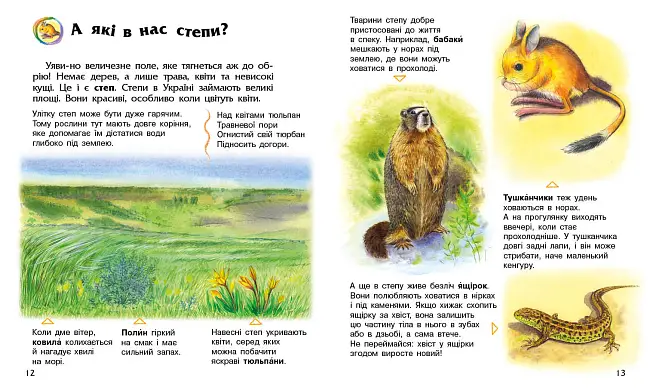 Купити Энциклопедия дошкольника Украина, бренду Ранок - 4 - KUBIX Энциклопедия дошкольника Украина, бренду Ранок - 4 - KUBIX