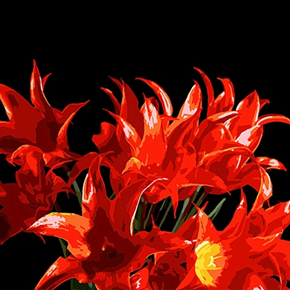 Картина по номерам "Букет красных тюльпанов" (40х40 см), бренду Strateg - KUBIX