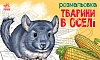 Раскраска Животные в доме Раскраска Животные в доме