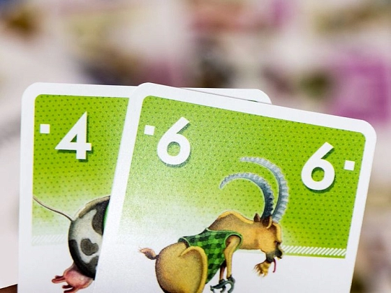 Настільна гра Велонімо (Velonimo), бренду Geekach Games, для 2-5 гравців, час гри < 30хв. - 5 - KUBIX