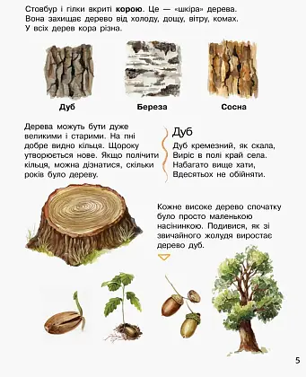 Энциклопедия дошкольника. Лес, бренду Ранок - 2 - KUBIX