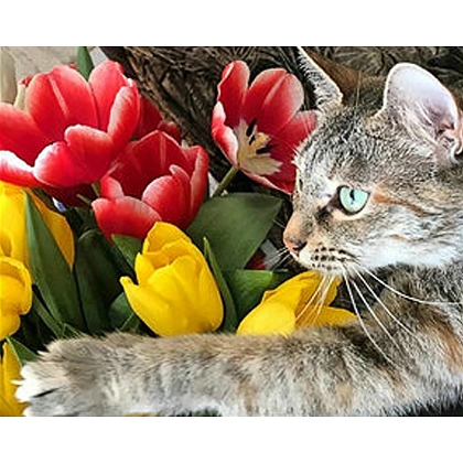 Алмазная мозаика Березневое настроение (30х40 см), бренду Strateg - KUBIX