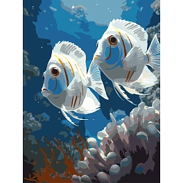 Картина по номерам Подводная пара (30x40 см)