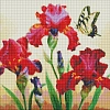 Алмазная мозаика Ирисы с голограмными стразами (40х40 см)