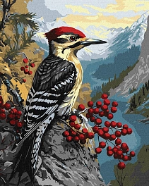 Картина по номерам Дятел и калина (40х50 см)