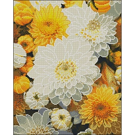 Алмазна мозаїка Жовто-білі айстри (40х50 см)