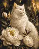 Картина по номерам Кот среди пионов (40х50 см)