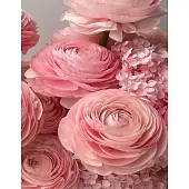 Мініатюра товару Алмазна мозаїка Рожеві лютики (40х50 см) - 1