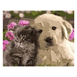 Миниатюра товара Картина по номерам Лучшые друзья (40х50 см) - 1
