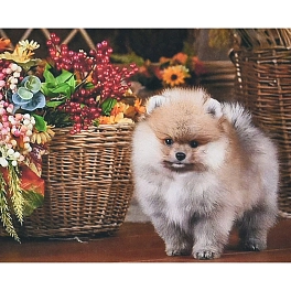 Алмазная мозаика Соб puppy у корзине (30х40 см) - KUBIX Алмазная мозаика Соб puppy у корзине (30х40 см)
