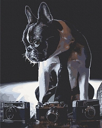 Картина по номерам Срамежливый фотограф (40х50 см)