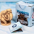 Миниатюра товара Настольная игра Нескончаемая Зима. Мамонт (Endless Winter: Mammut) - 2