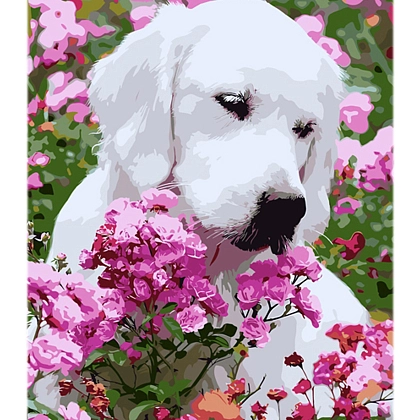 Картина по номерам Бешкетник (40х50 см), бренду Strateg - KUBIX