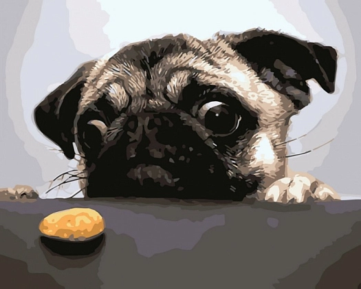 Картина по номерам Недосяжное печенье (40х50 см), бренду Art Craft - KUBIX