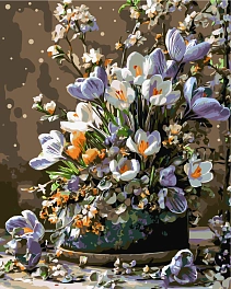 Картина по номерам Весенние крокусы (40х50 см)