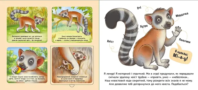 Світу, бренду Ранок - 3 - KUBIX