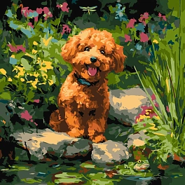 Картина по номерам Пудель (40х40 см)