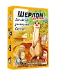 Миниатюра товара Настольная игра Шерлок детский №1. Загадочное исчезновение Суригури (Sherlock Junior: Suriguri) - 3