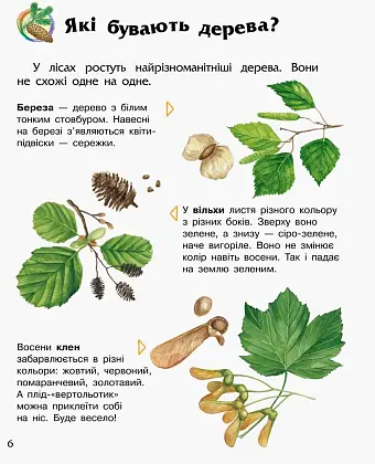 Энциклопедия дошкольника. Лес, бренду Ранок - 5 - KUBIX