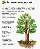 Мініатюра товару Енциклопедія дошкільника. Ліс - 6