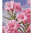 Мініатюра товару Картина по номерам Ніжність (30х40 см) - 1