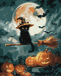 Картина по номерам Кот-волшебник (40х50 см)