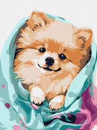 Картина по номерам Пухнастый шпиц (30х40 см)