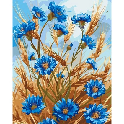 Картина по номерам Волошки (40х50 см), бренду Art Craft - KUBIX
