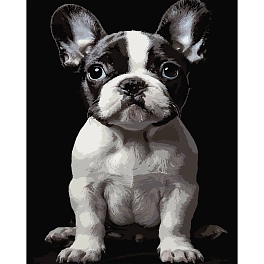 Картина по номерам Маленький пес (40х50 см)
