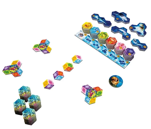 Настольная игра Aqua. Океанское биоразнообразие (AQUA: Biodiversity in the oceans), бренду Lord of Boards, для 1-4 гравців, час гри < 30мин. - 2 - KUBIX