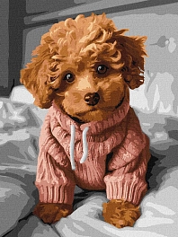 Картина по номерам Милый собака (30х40 см)