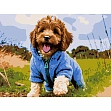 Миниатюра товара Картина по номерам Щенок на прогулке (30х40 см) - 1