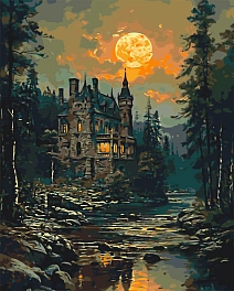 Картина по номерам Тайный замок (40х50 см)