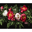 Миниатюра товара Картина по номерам Цветочная композиция (40х50 см) - 1
