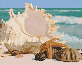 Картина по номерам Музика моря (40х50 см)