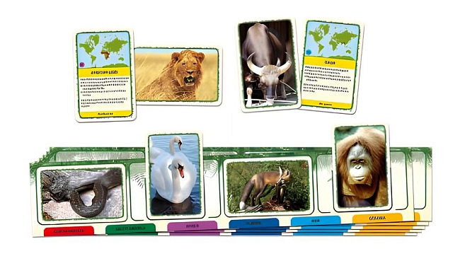 Настольная игра Животные мира (Animals of the World), бренду Tactic, для 2-6 гравців, час гри < 30мин. - 2 - KUBIX