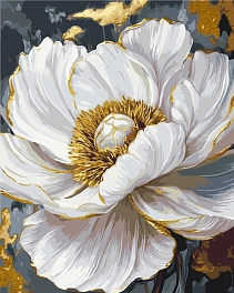 Картина по номерам Біла півонія (40х50 см)