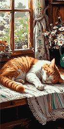 Картина по номерам Рыжий котик (40х80 см)