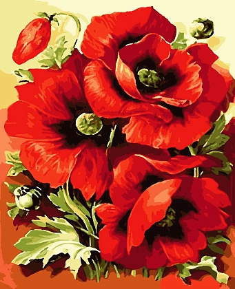 Картина по номерам Яскраві маки (40х50 см), бренду Artissimo - KUBIX