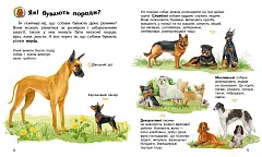 Миниатюра товара Энциклопедия дошкольника: Собаки - 3