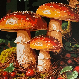 Картина за номерами Грибна галявина (30х30 см)