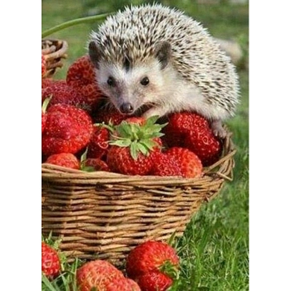 Алмазна мозаїка Їжачок та полуниця (30х40 см), бренду Strateg - KUBIX