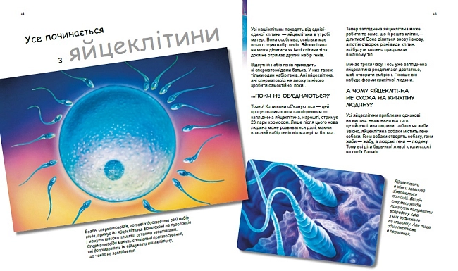 X та Y, дівчинка або хлопчик?, бренду Ранок - 5 - KUBIX